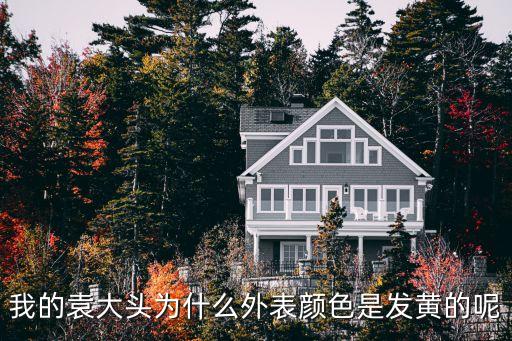 袁大頭怎么有點泛黃，我的袁大頭為什么外表顏色是發(fā)黃的呢