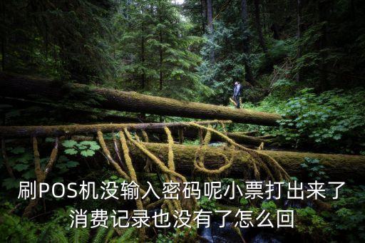 刷POS機沒輸入密碼呢小票打出來了消費記錄也沒有了怎么回