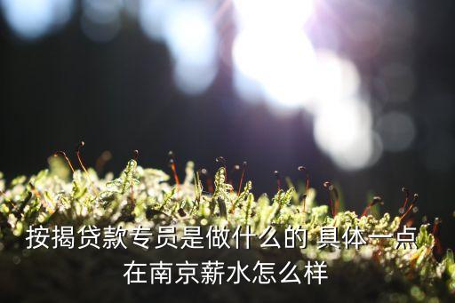按揭貸款專員是做什么的 具體一點 在南京薪水怎么樣