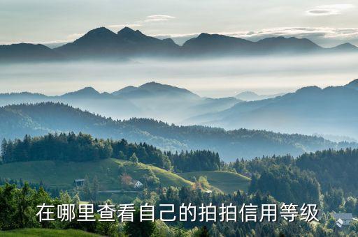 拍拍怎么看信譽(yù)，在拍拍網(wǎng)里怎么看自己的信譽(yù)值我是買家
