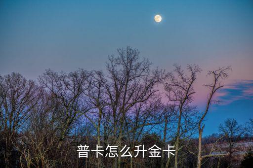 普卡怎么升金卡