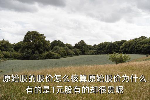 原始股的股價怎么核算原始股價為什么有的是1元股有的卻很貴呢