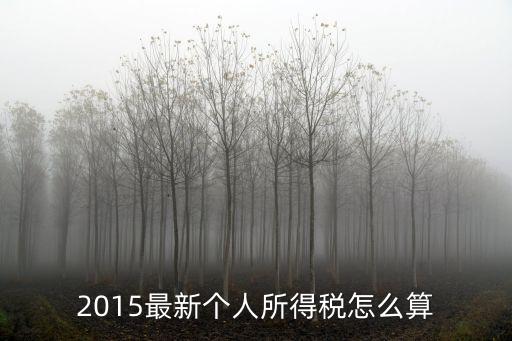 2015南京個(gè)人所得稅怎么算法，2015年工資稅怎么算