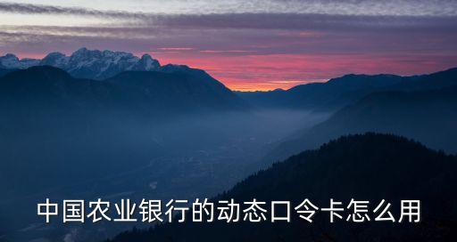 動態(tài)口令卡怎么用中國農(nóng)業(yè)銀行，農(nóng)行動態(tài)口令卡怎么用