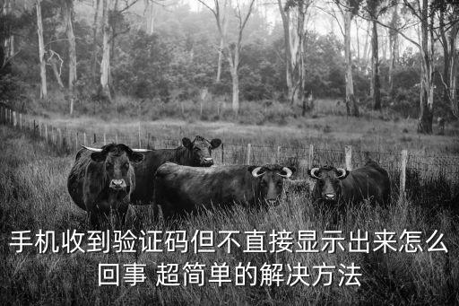 手機(jī)驗(yàn)證碼不會(huì)顯示怎么辦啊，手機(jī)收到驗(yàn)證碼但不直接顯示出來(lái)怎么回事 超簡(jiǎn)單的解決方法