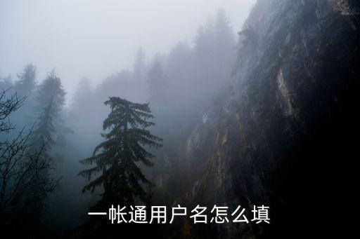 一賬通用戶名怎么填，一帳通用戶名怎么填