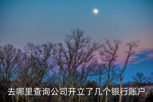 去哪里查詢公司開(kāi)立了幾個(gè)銀行賬戶