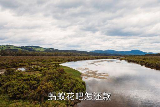 螞蟻花吧怎還款