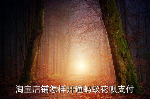 淘寶店怎么開通花唄支付，淘寶賣家怎么開通支持花唄付款