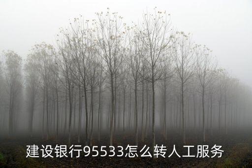 建設銀行95533怎么轉人工服務