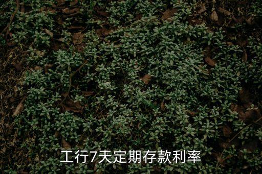 工行7天定期存款利率