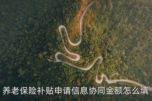 養(yǎng)老保險(xiǎn)補(bǔ)貼申請(qǐng)信息協(xié)同金額怎么填