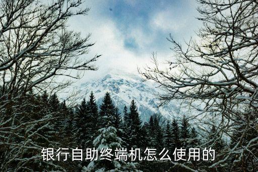 銀行自助繳費(fèi)機(jī)怎么用，如何通過(guò)工商銀行自助終端辦理繳費(fèi)