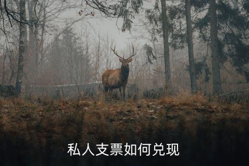 個(gè)體怎么兌換支票，私人支票如何兌現(xiàn)