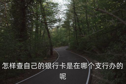 怎樣查自己的銀行卡是在哪個(gè)支行辦的呢
