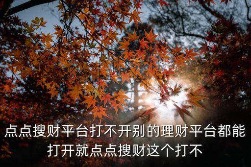點(diǎn)點(diǎn)搜財(cái)平臺(tái)打不開別的理財(cái)平臺(tái)都能打開就點(diǎn)點(diǎn)搜財(cái)這個(gè)打不