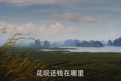 阿里花唄怎么還款，阿里巴巴花唄欠款是在那里還款