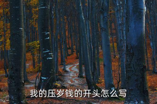 我的壓歲錢的開頭怎么寫