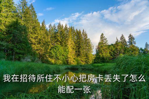 我在招待所住不小心把房卡丟失了怎么能配一張