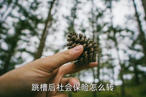 跳槽后社會(huì)保險(xiǎn)怎么轉(zhuǎn)