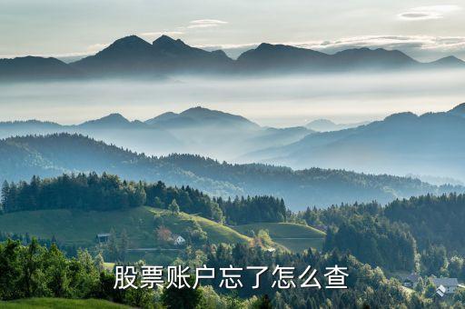 股票賬戶忘了怎么查