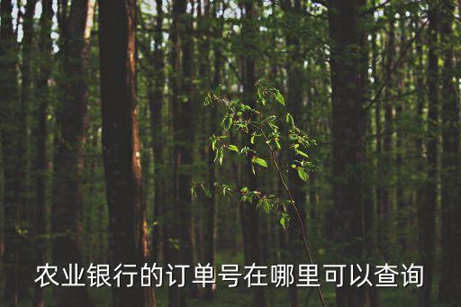 農(nóng)業(yè)銀行訂單號(hào)怎么查，農(nóng)業(yè)銀行訂單號(hào)怎么查詢可以查詢得到么