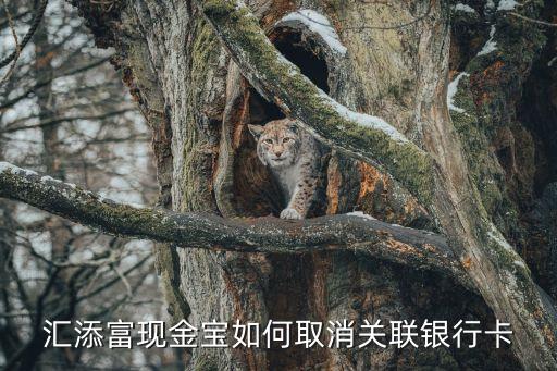 工行繳費站怎么解除匯添富現(xiàn)金寶協(xié)議，工行的全球現(xiàn)金管理協(xié)議是甚么要怎樣消除