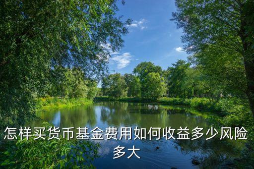 怎樣買貨幣基金費用如何收益多少風(fēng)險多大