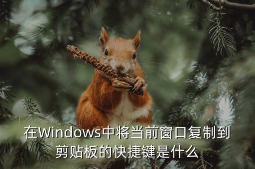 在Windows中將當前窗口復制到剪貼板的快捷鍵是什么