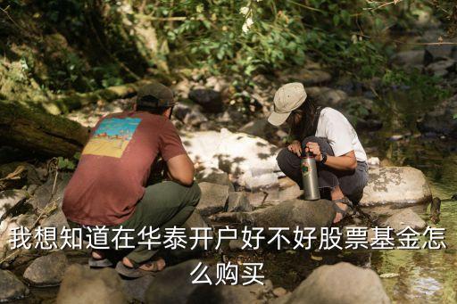 華泰怎么買基金，在華泰證券漲了客戶端上怎樣買分級基金