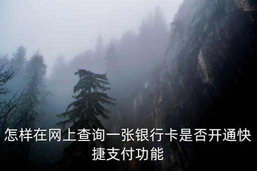 我是快捷支付的怎么查詢，怎么查我已經(jīng)開通支付寶快捷支付了呀