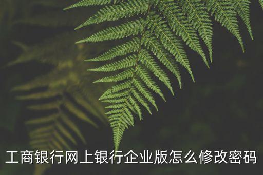 工商銀行網(wǎng)上銀行企業(yè)版怎么修改密碼