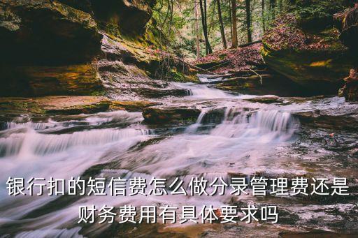 銀行扣的短信費(fèi)怎么做分錄管理費(fèi)還是財(cái)務(wù)費(fèi)用有具體要求嗎