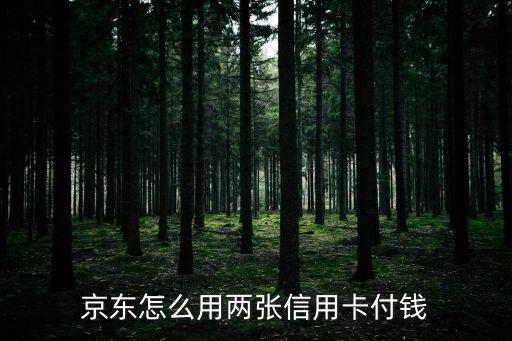 京東怎么用兩張信用卡付錢