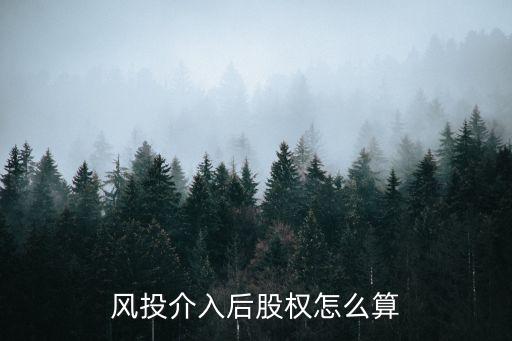 風(fēng)險投資投資怎么算，試述投資風(fēng)險收益的計算步驟速度緊急有人知道嗎