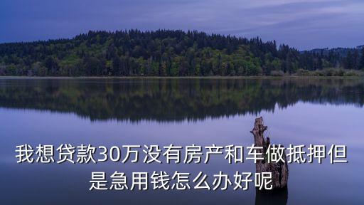 貸款30萬要怎么用錢生錢，有30萬怎么做到錢生錢利生利存銀行就不回答了
