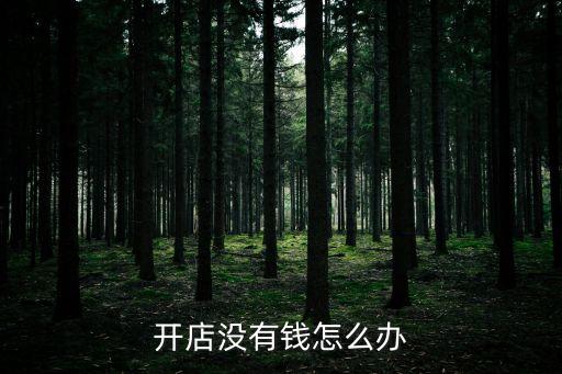 開店沒有錢怎么辦