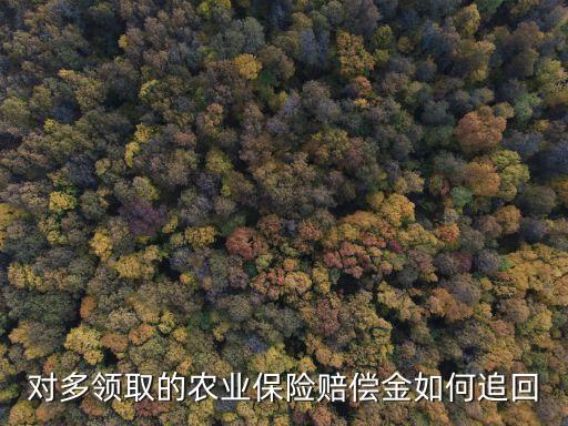 多賠付了保險金怎么辦，保險理賠多打了錢給我怎么辦怎么退