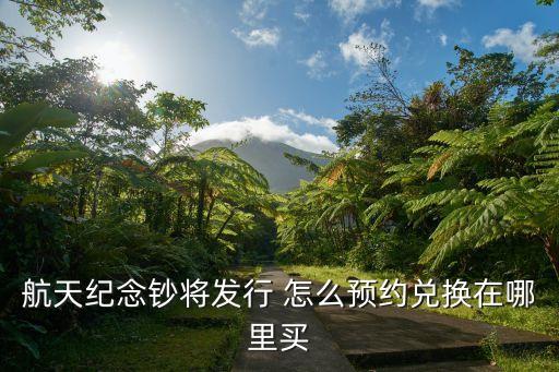 航天紀(jì)念幣怎么購買，去年我也沒買到航天紀(jì)念幣只買到了紙幣現(xiàn)在哪里買幣