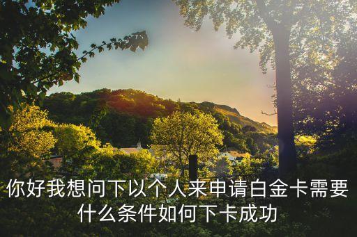 你好我想問下以個(gè)人來申請(qǐng)白金卡需要什么條件如何下卡成功
