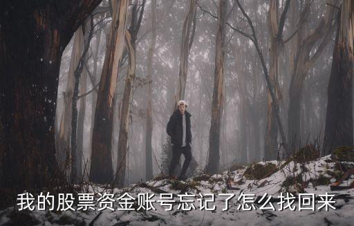 我的股票資金賬號忘記了怎么找回來