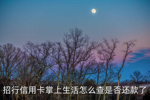 掌上生活怎么查賬單，信用卡以往的還款明細(xì)在掌上生活的哪里查