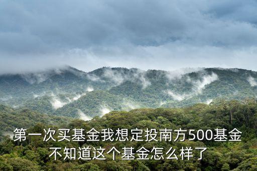 第一次買基金我想定投南方500基金不知道這個(gè)基金怎么樣了