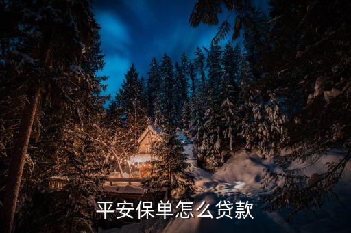 平安保單怎么貸款