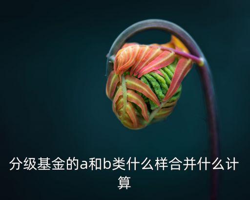 基金合并怎么計(jì)算，改革分級(jí)指數(shù)基金合并怎樣上折怎樣計(jì)算的
