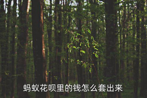 螞蟻花唄怎么套現(xiàn)金，花唄怎么提現(xiàn)花唄呢