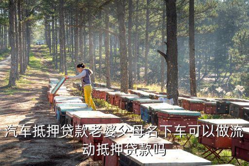 汽車抵押貸款老婆父母名下車可以做流動抵押貸款嗎
