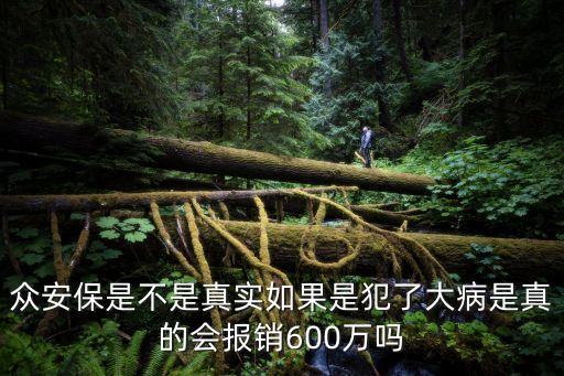 眾安保險(xiǎn) 怎么樣，網(wǎng)站賣眾安保險(xiǎn)是真實(shí)的嗎