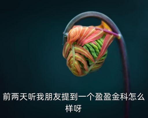 前兩天聽我朋友提到一個盈盈金科怎么樣呀