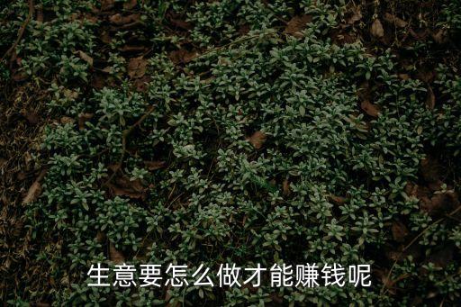 生意要怎么做才能賺錢呢